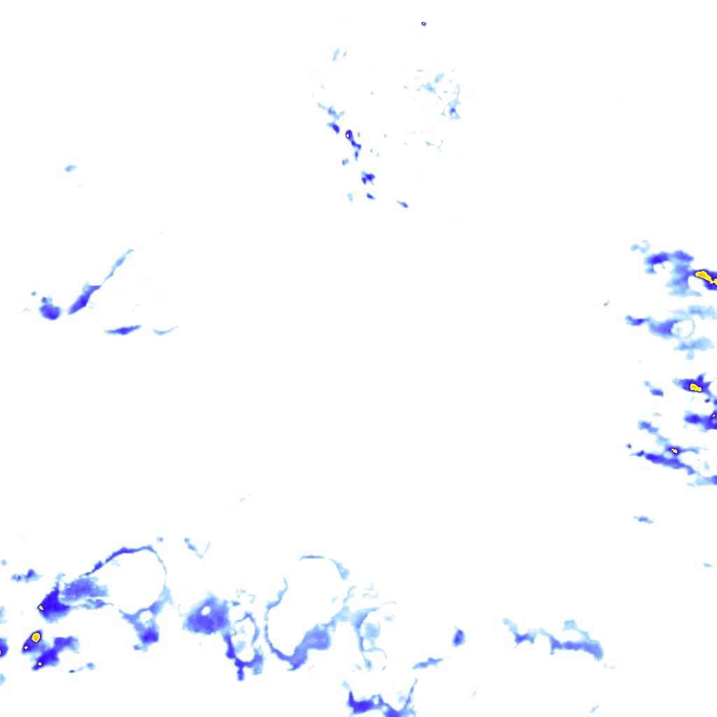 rainLayer