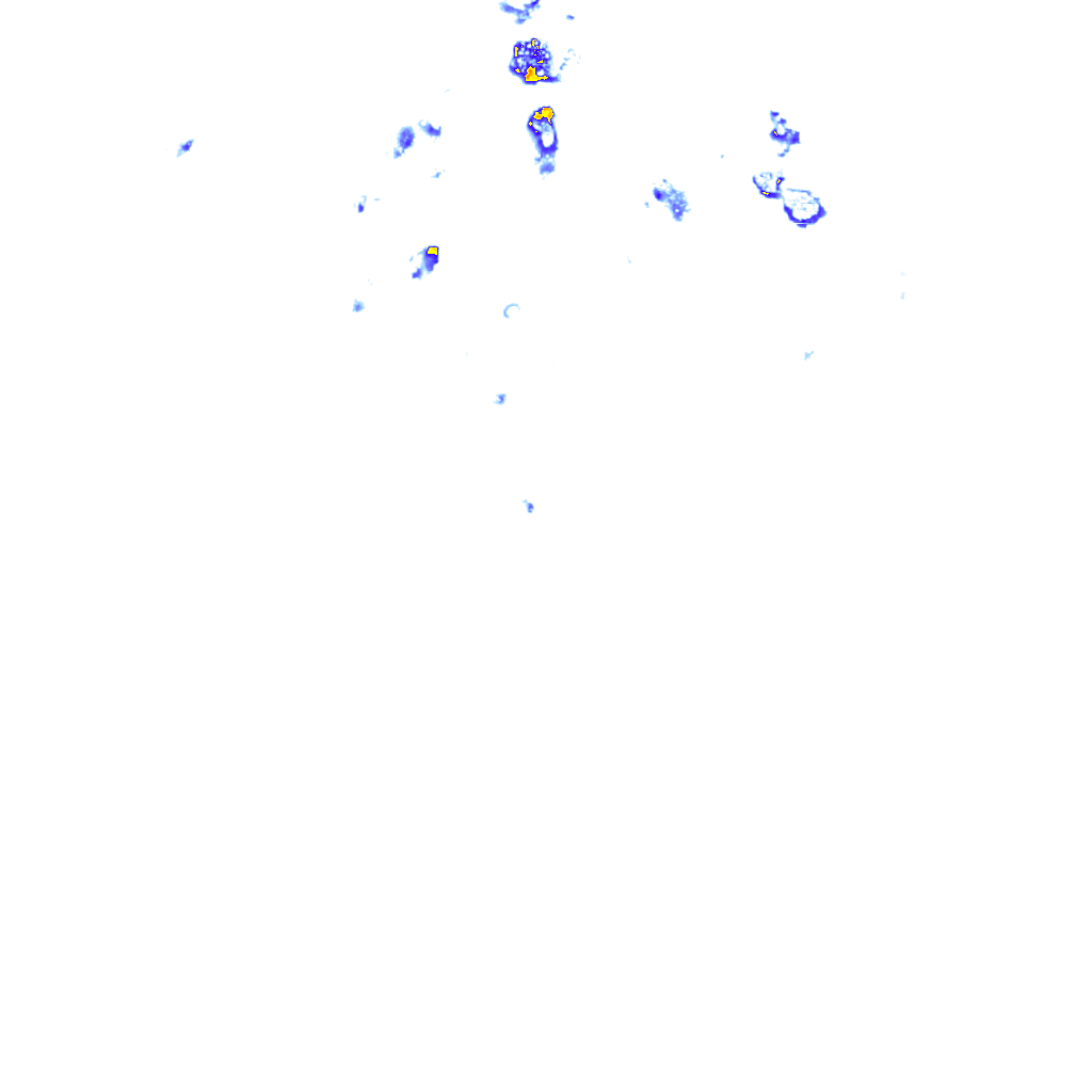 rainLayer