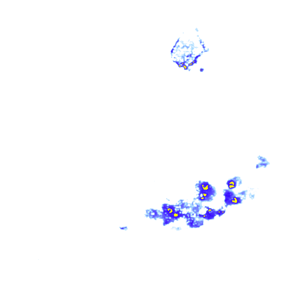 rainLayer