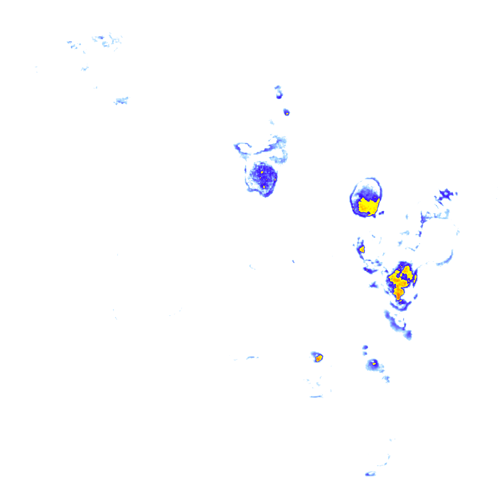 rainLayer