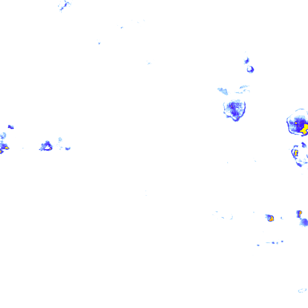 rainLayer