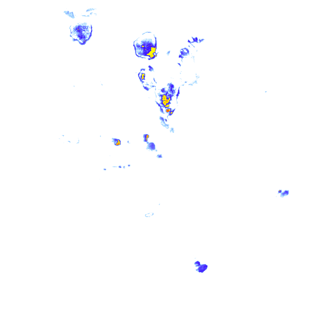 Image Layer