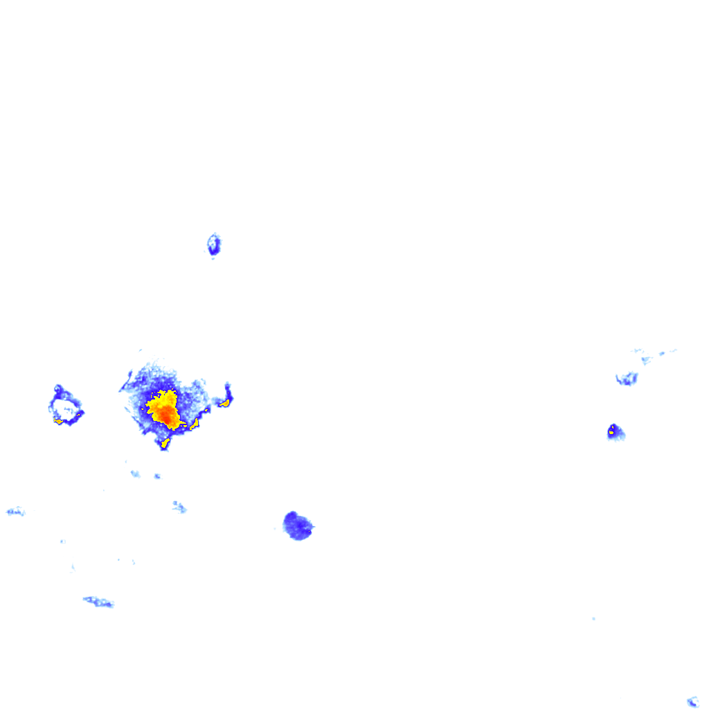 Image Layer