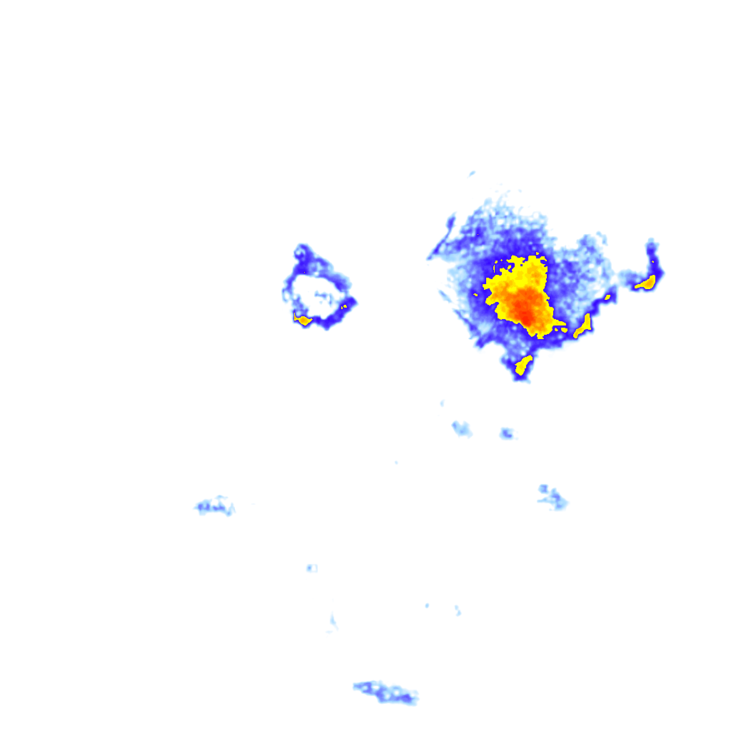 Image Layer