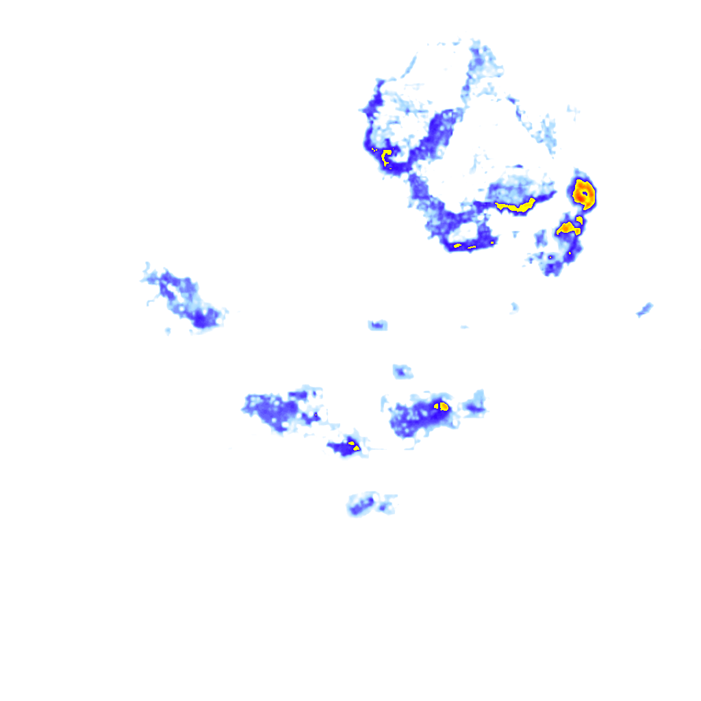 rainLayer
