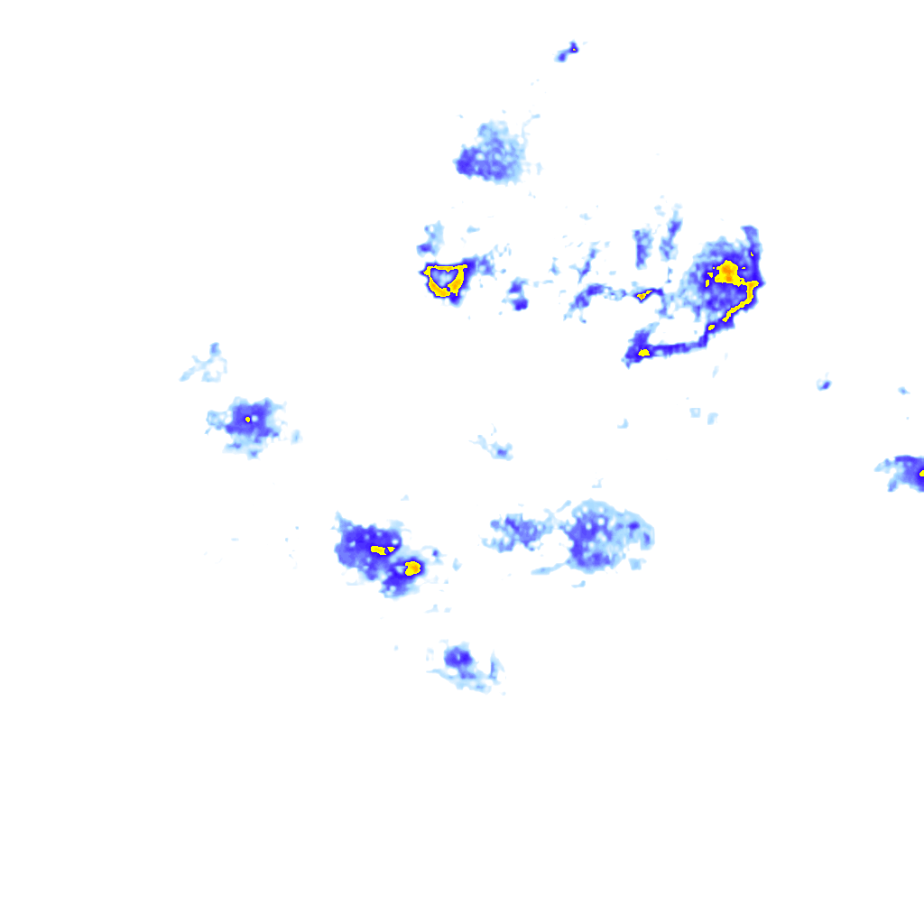 rainLayer