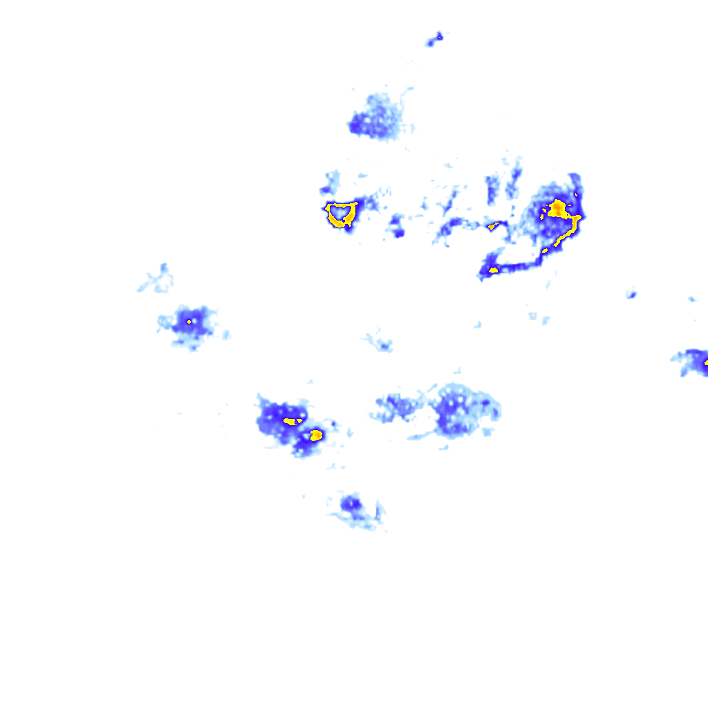 rainLayer