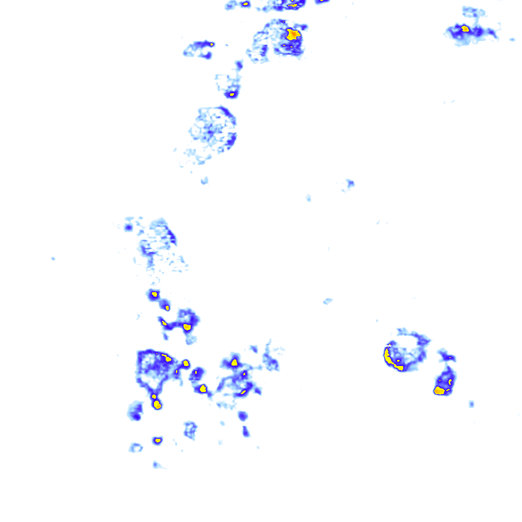 rainLayer