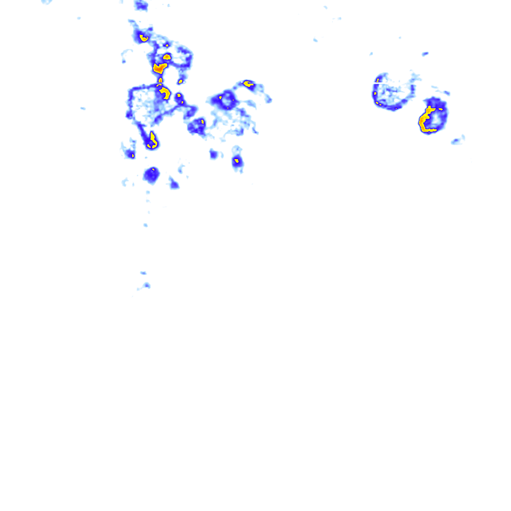 rainLayer
