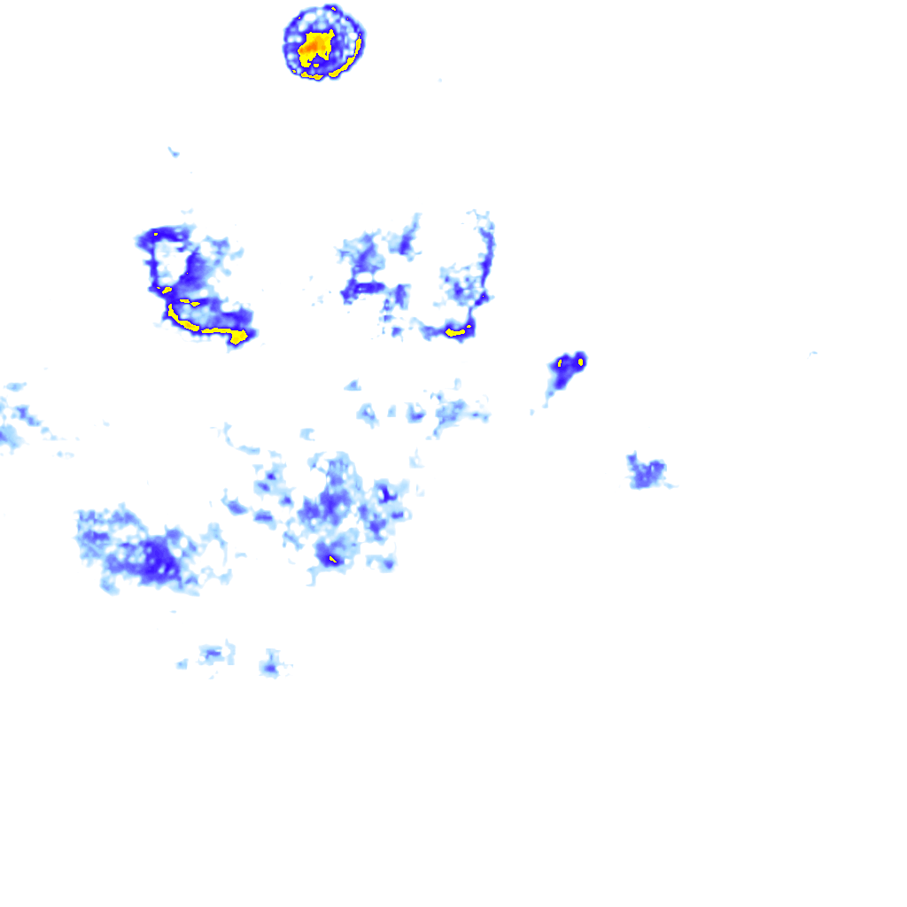 Image Layer