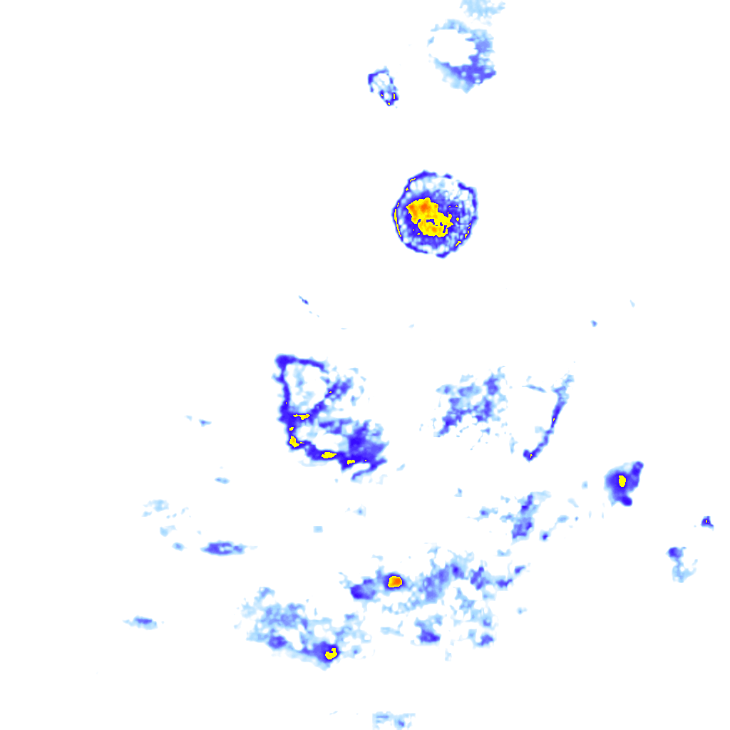 rainLayer