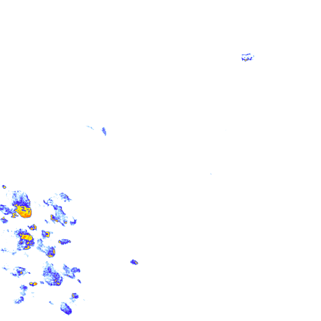 rainLayer
