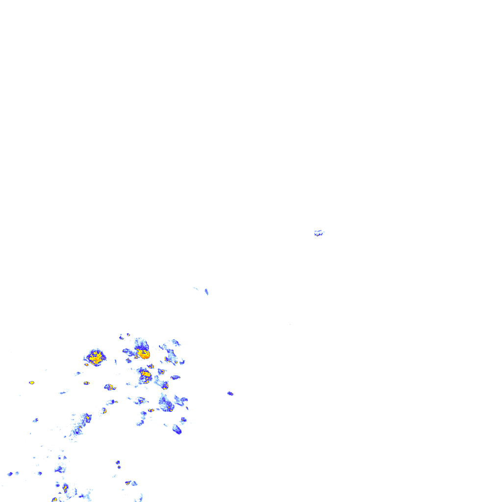 rainLayer