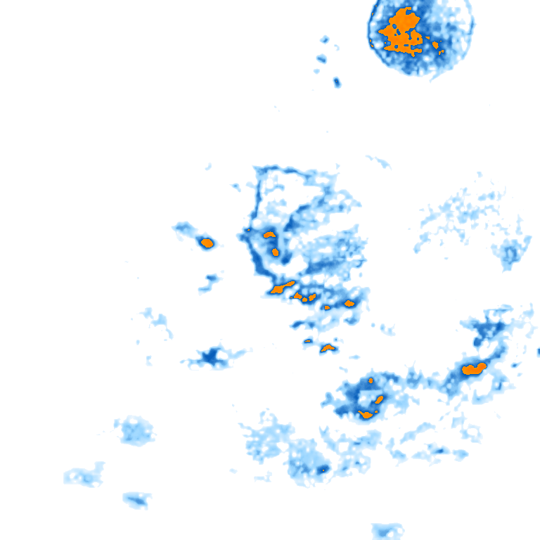 rain layer