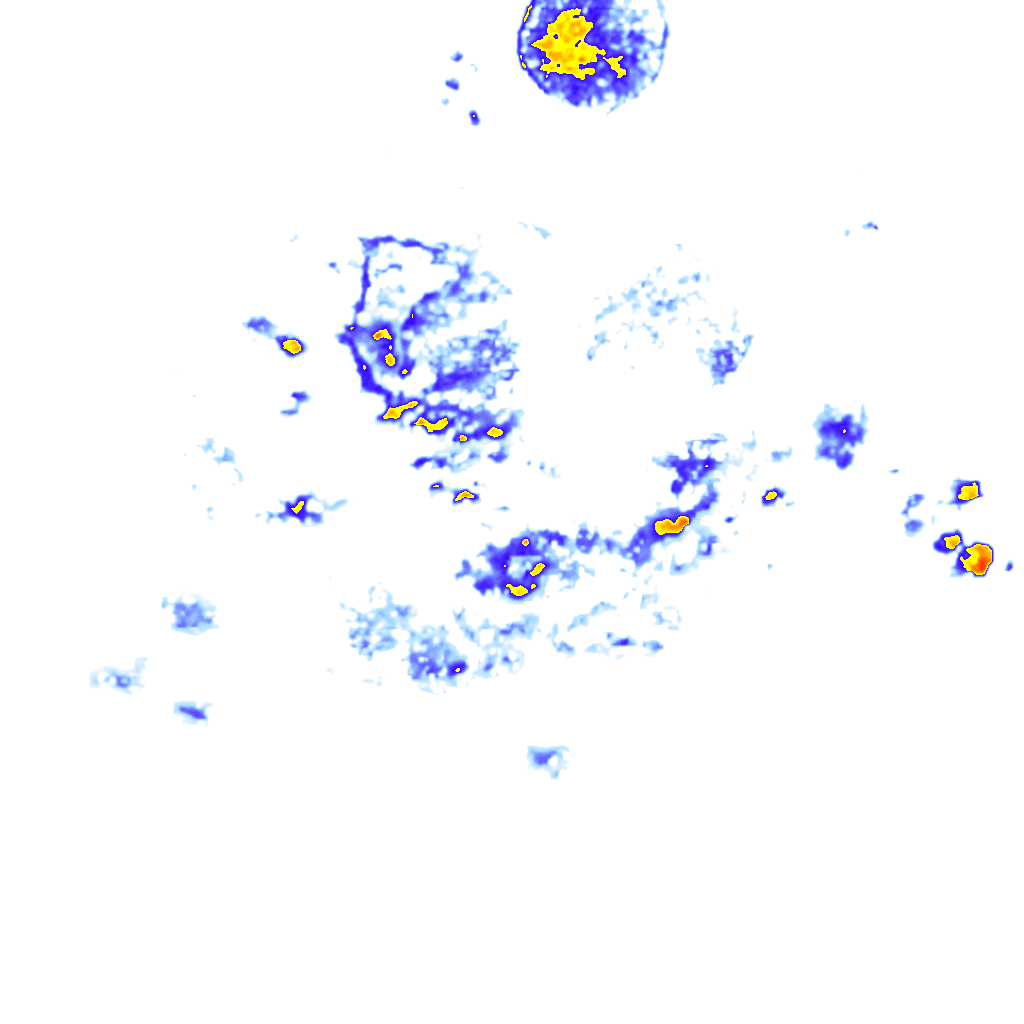 rainLayer