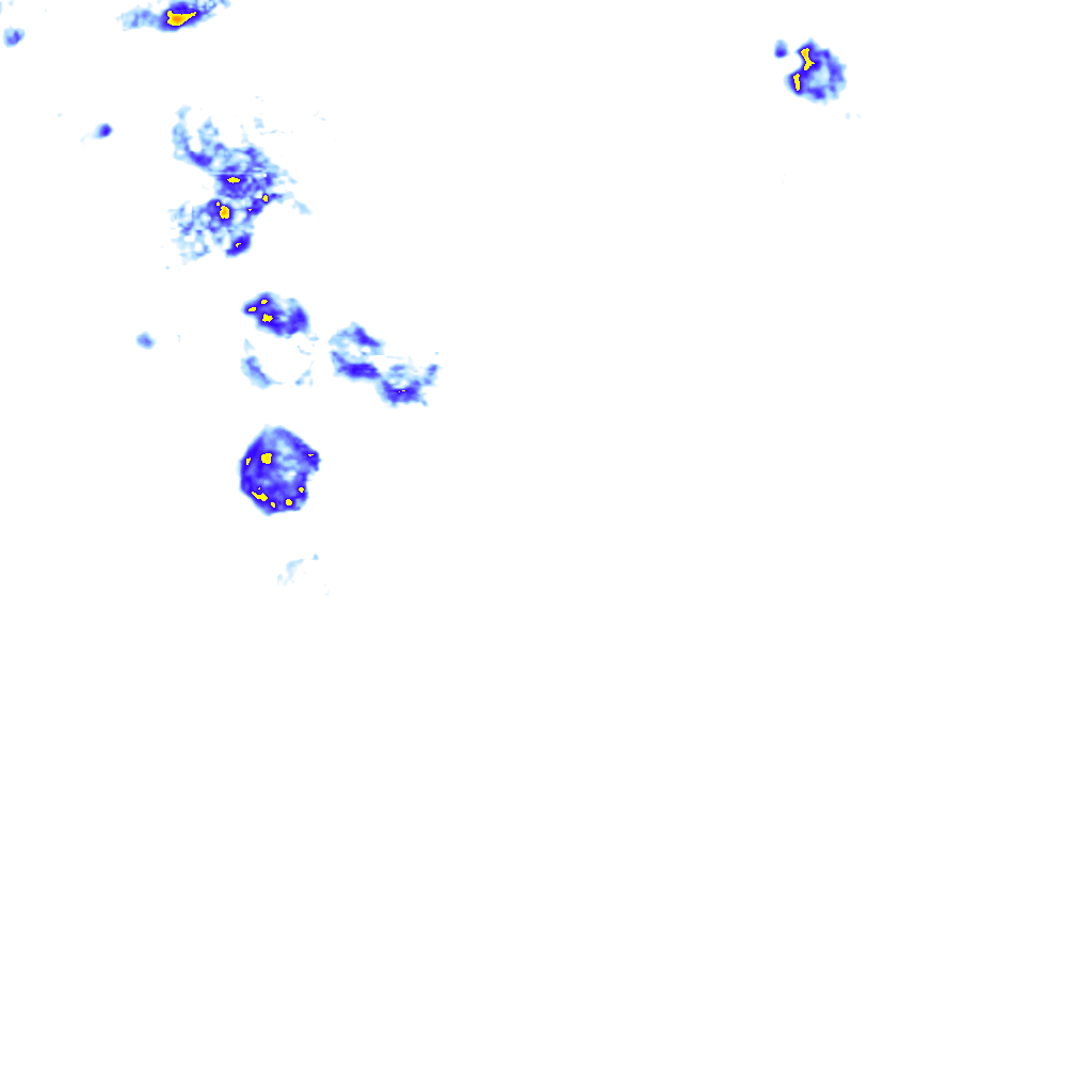rainLayer