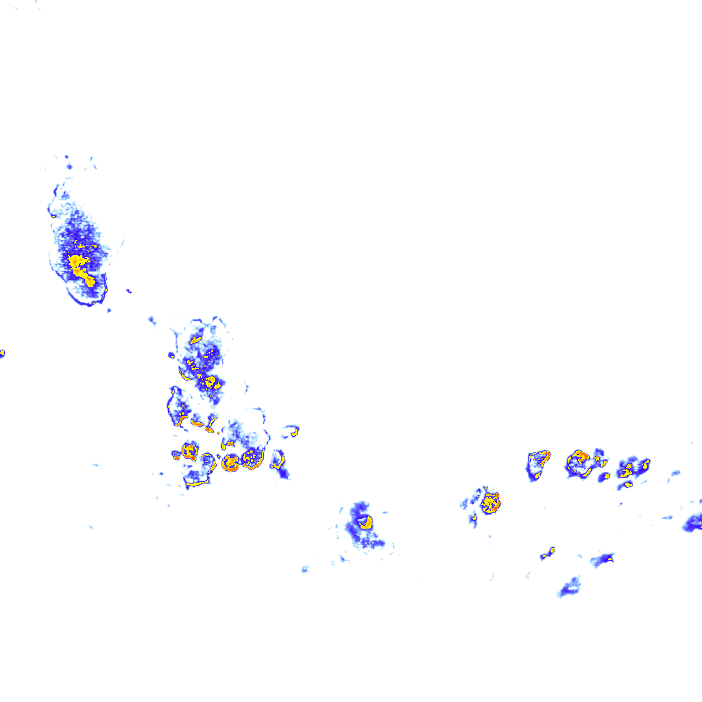 rainLayer