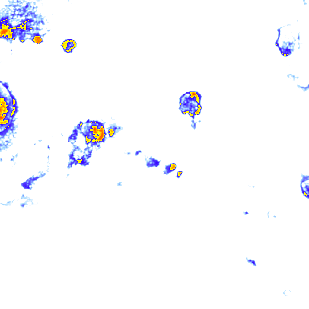 Image Layer