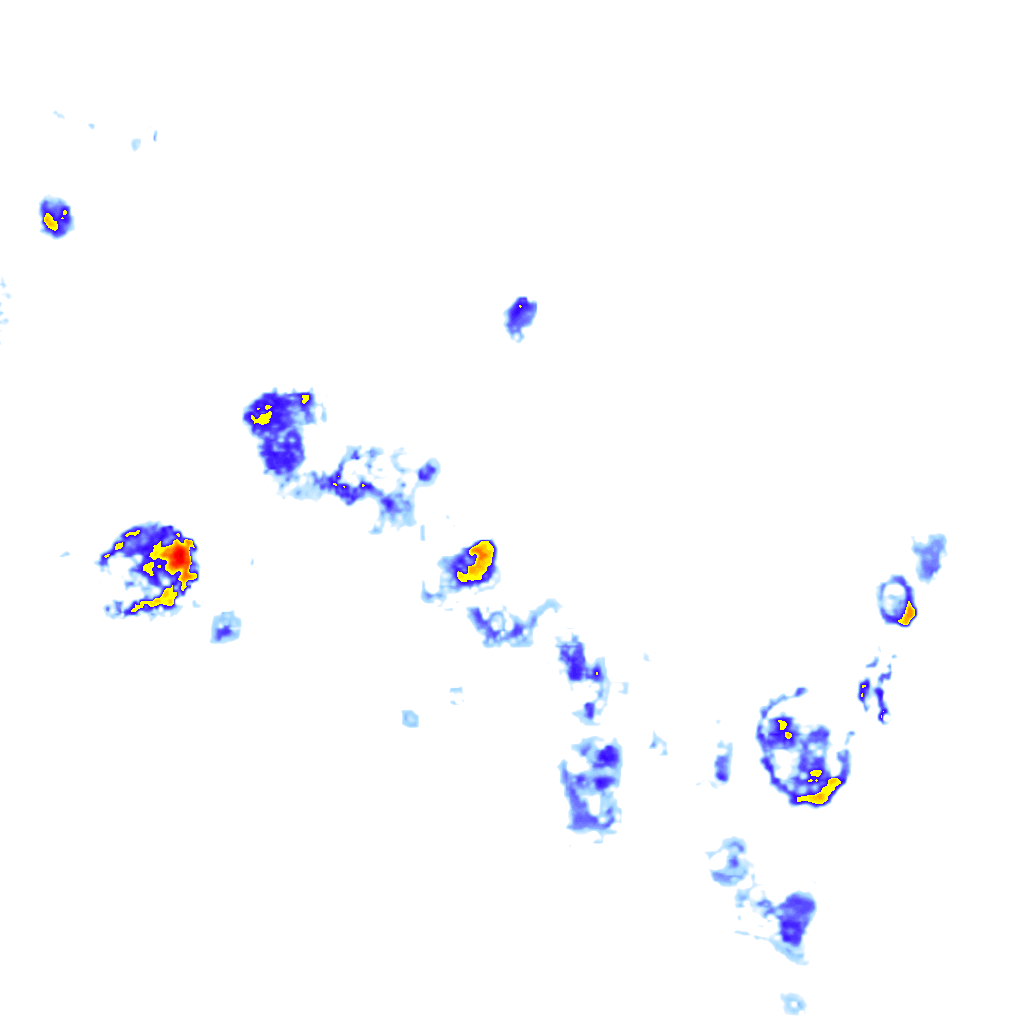 Image Layer