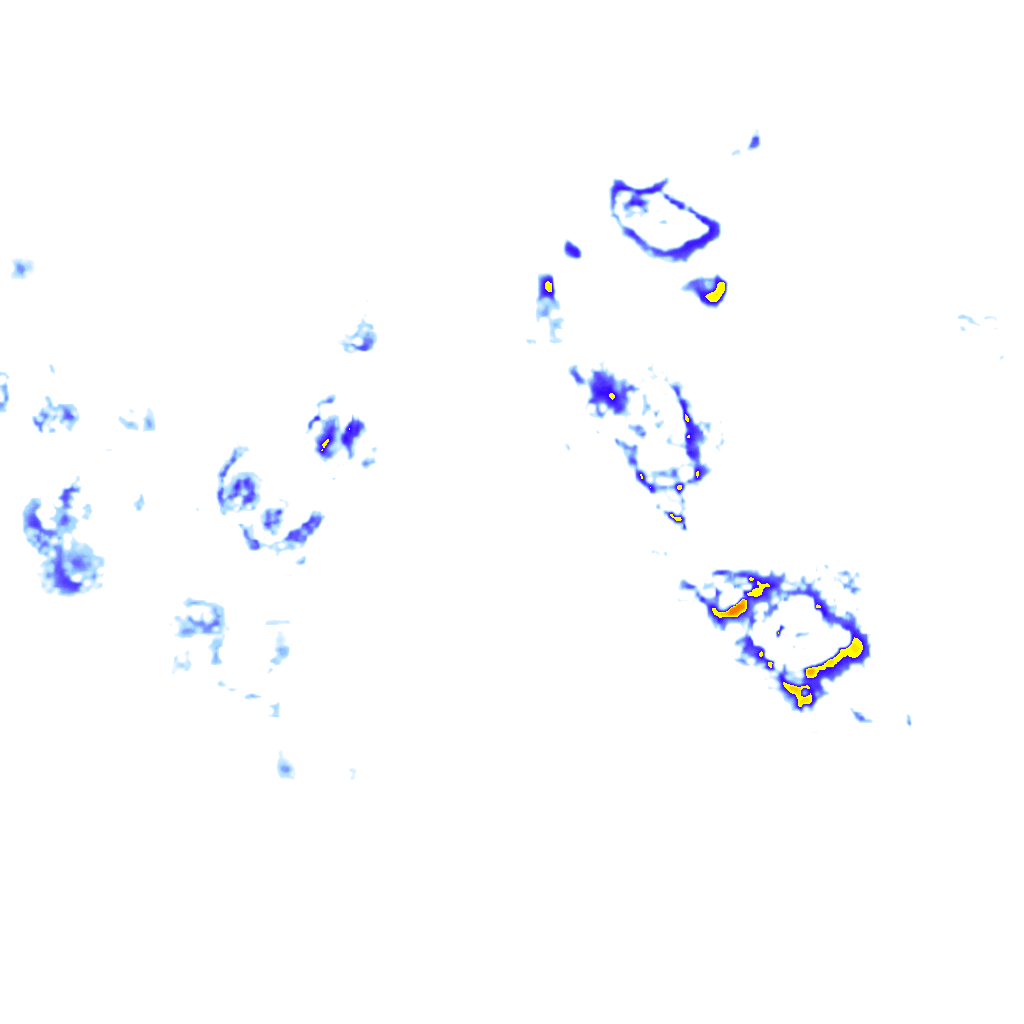 Image Layer