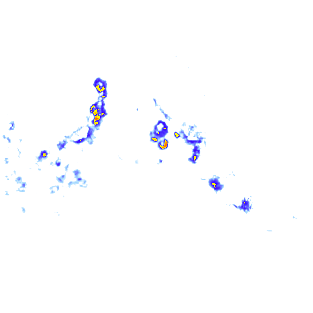 rainLayer