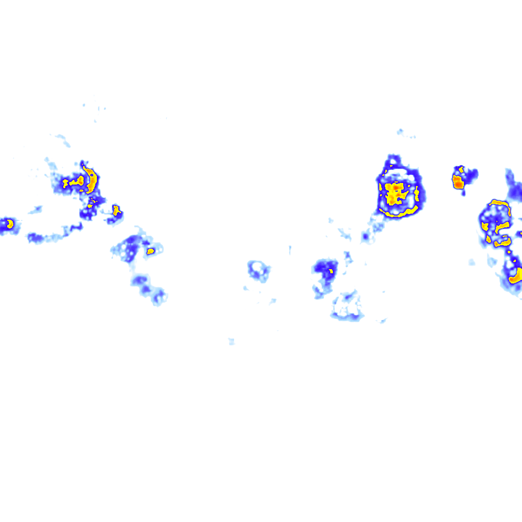 Image Layer