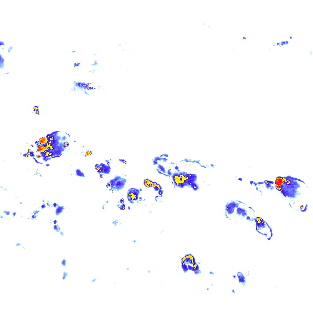 Image Layer