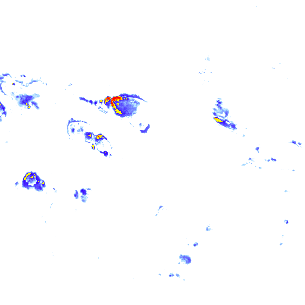 rainLayer