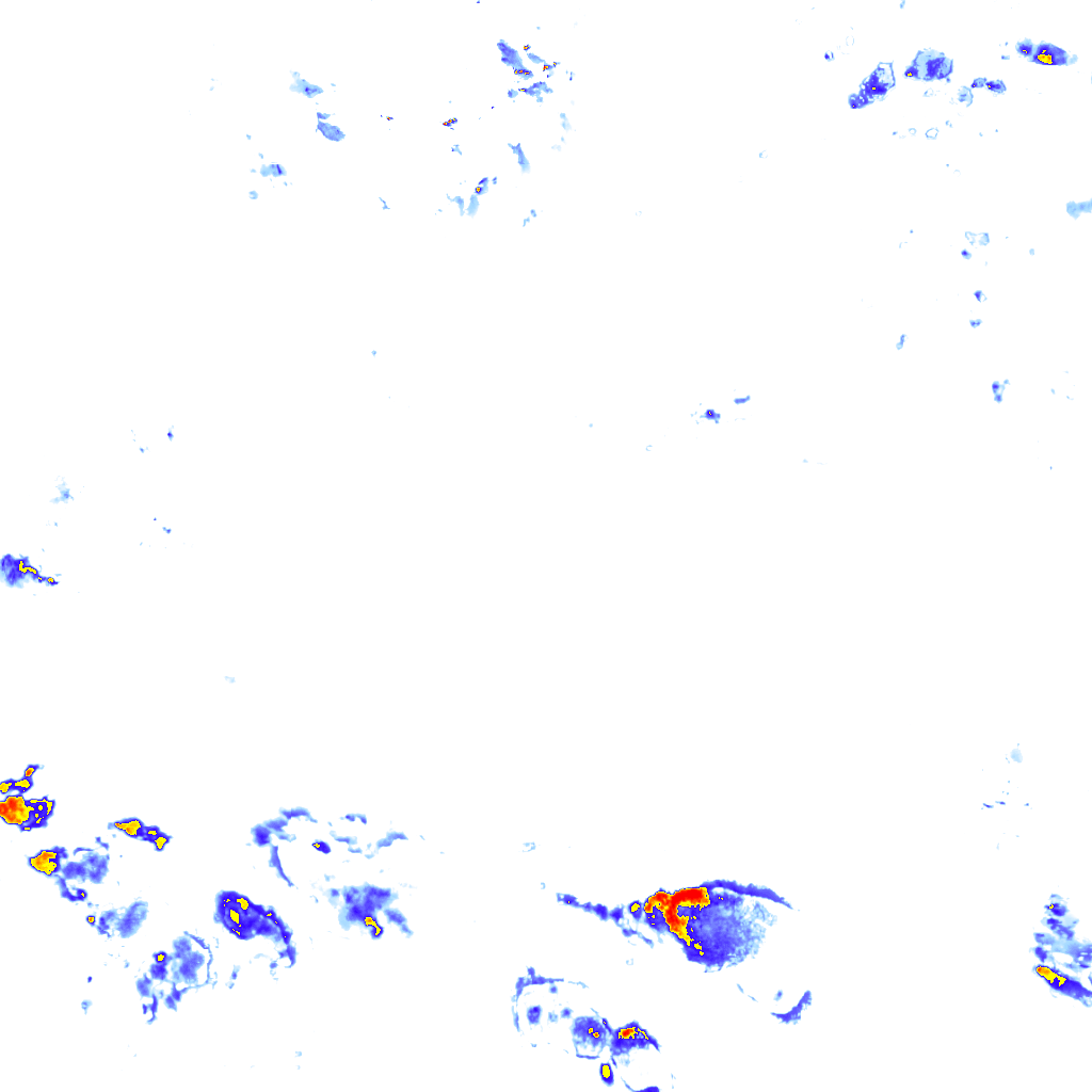 rainLayer