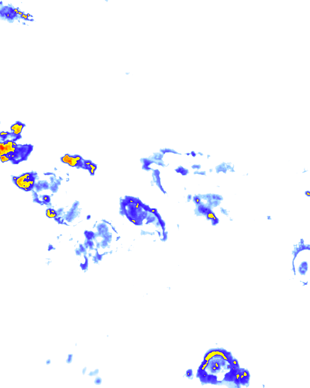 rainLayer