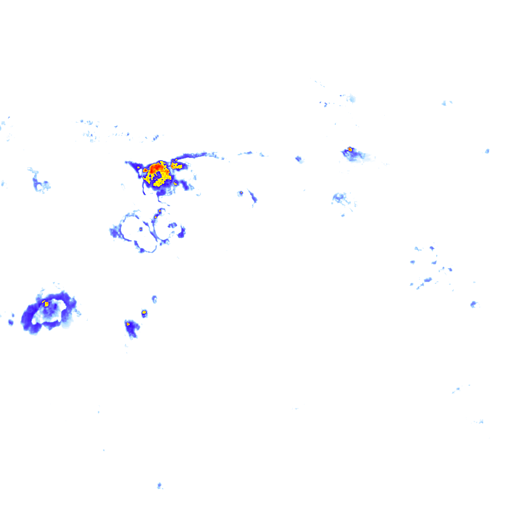 Image Layer