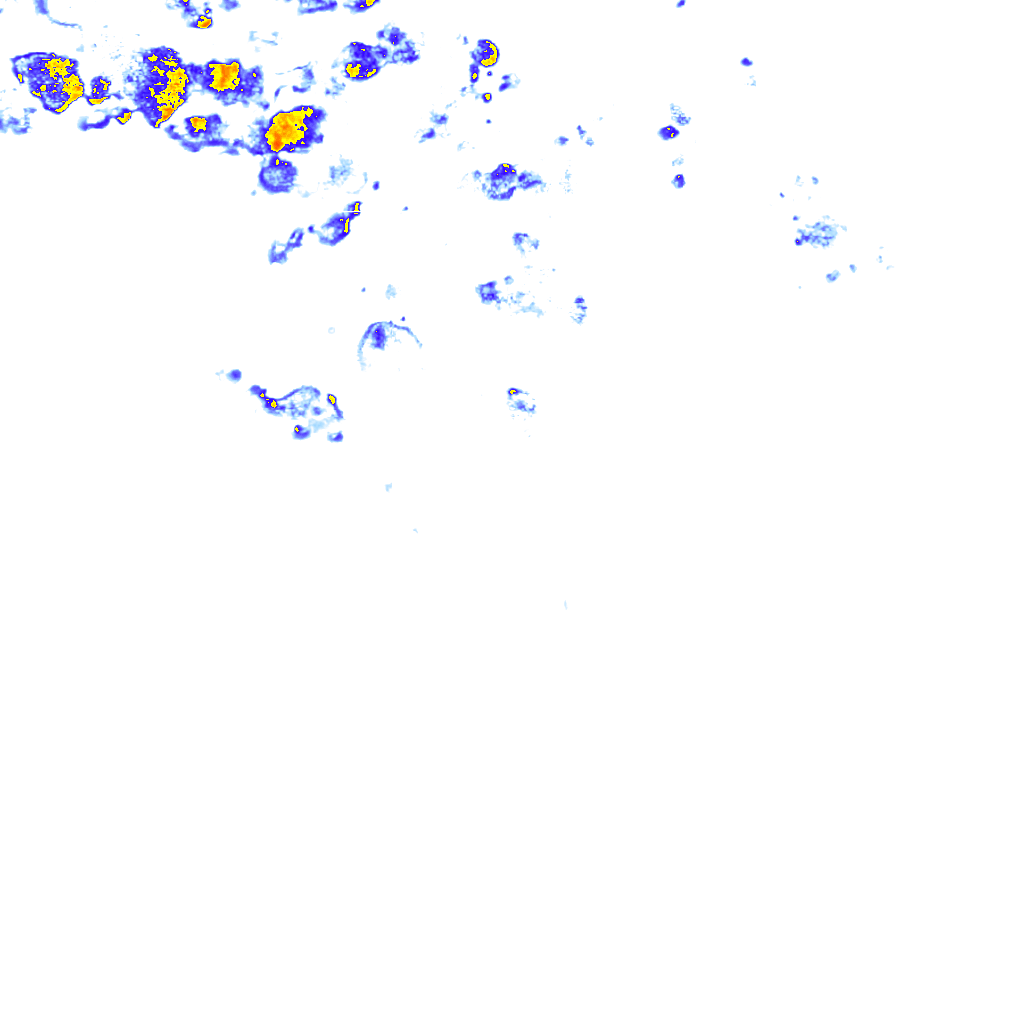 rainLayer