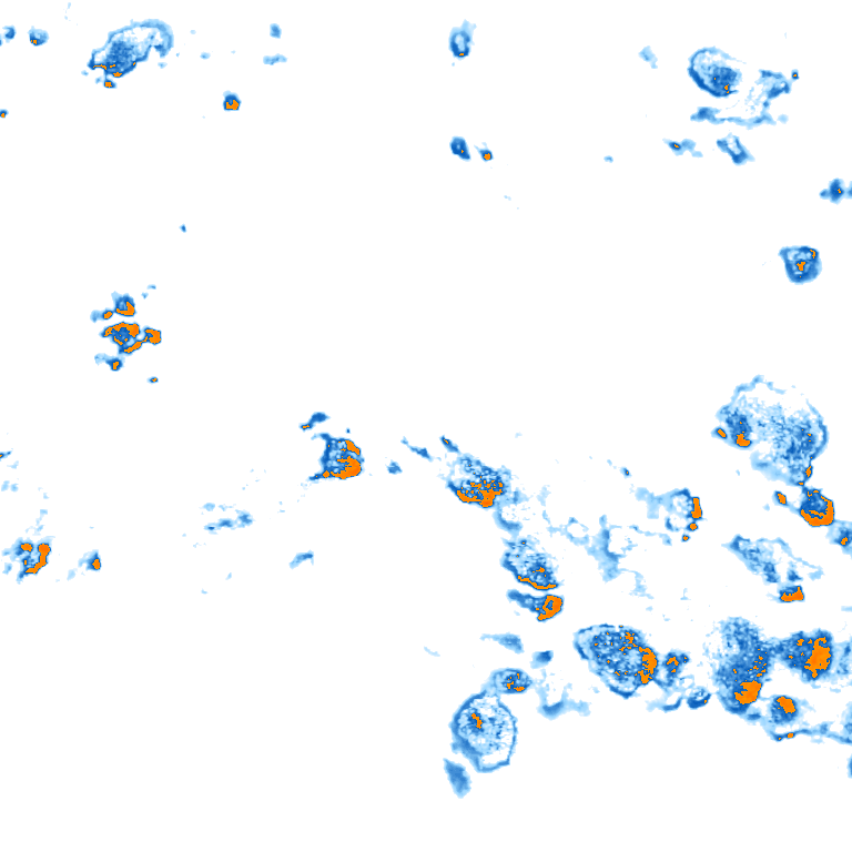 rain layer