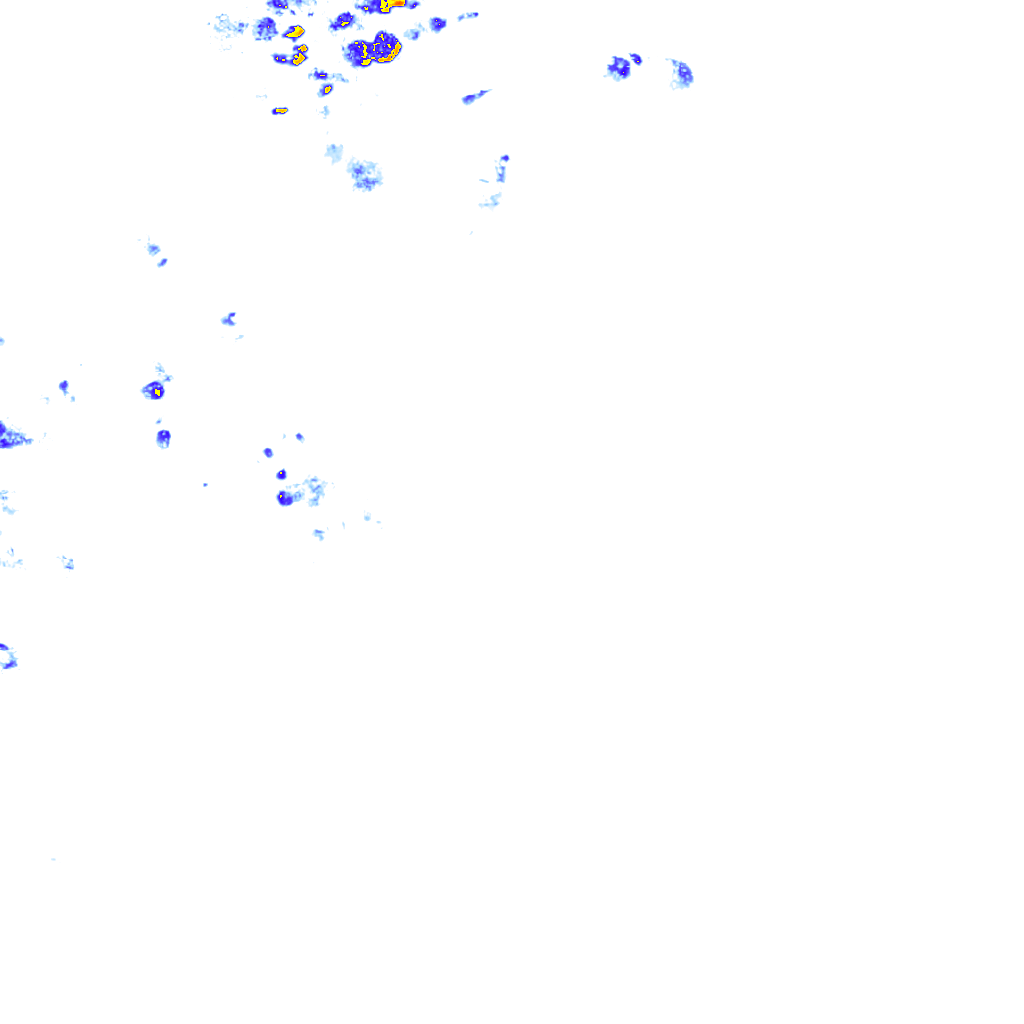 rainLayer