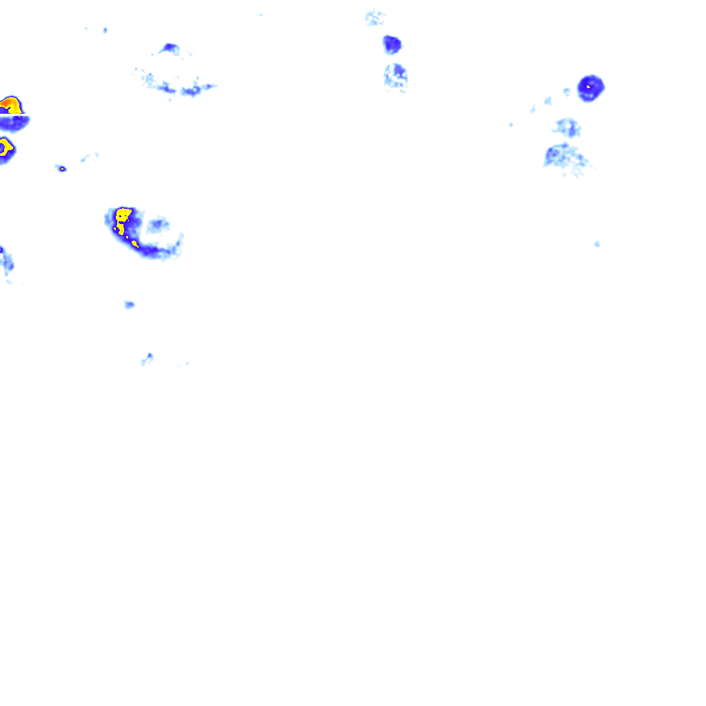 rainLayer