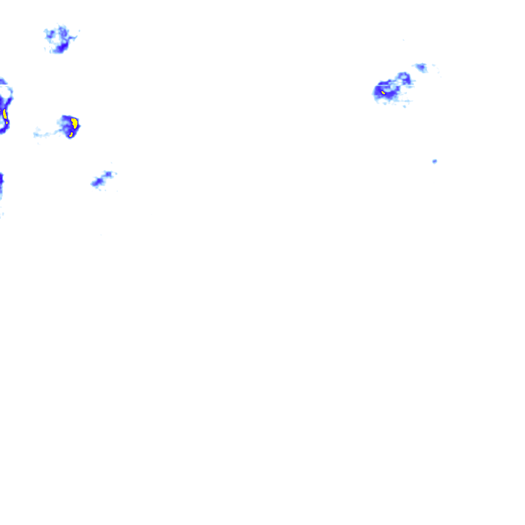 rainLayer