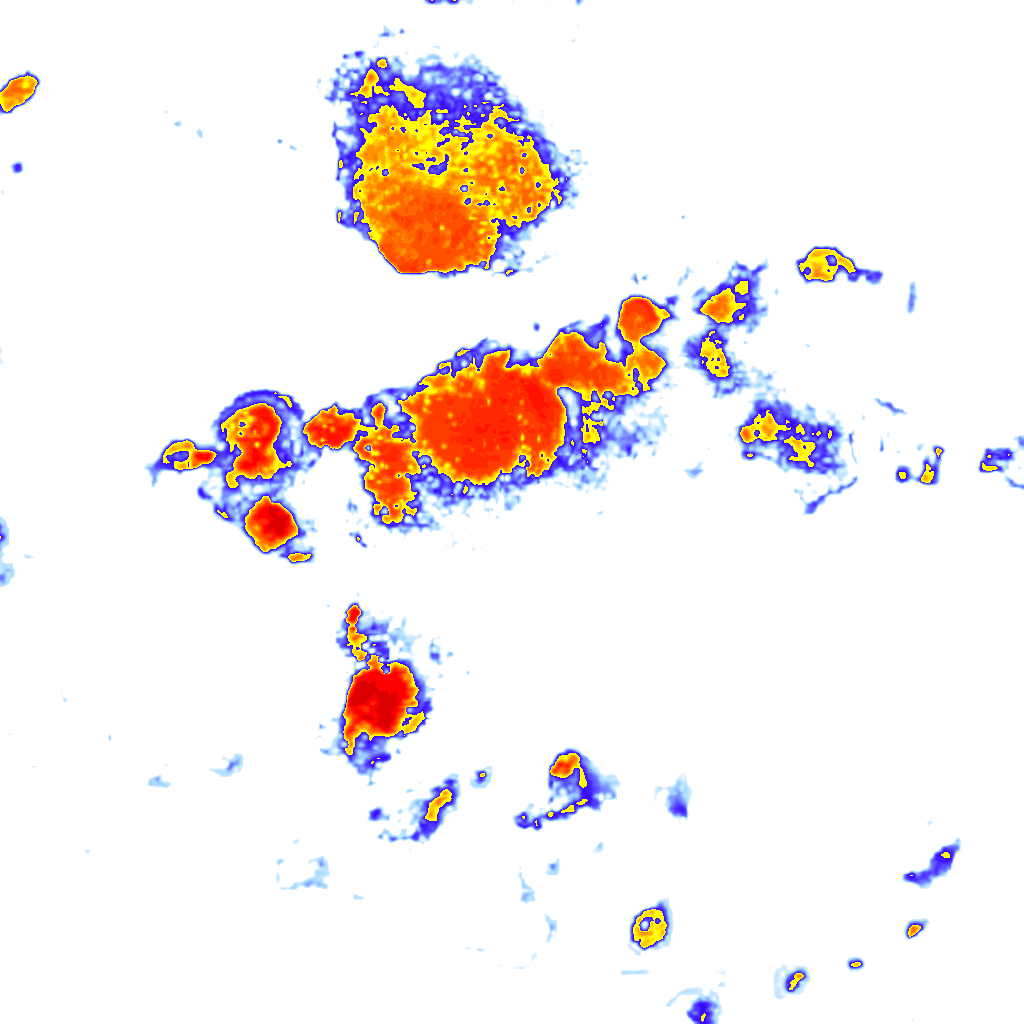 Image Layer