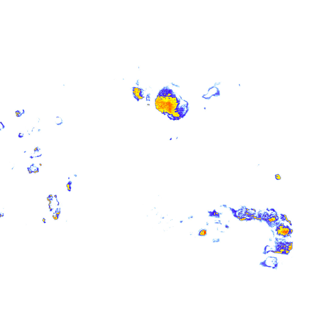 Image Layer