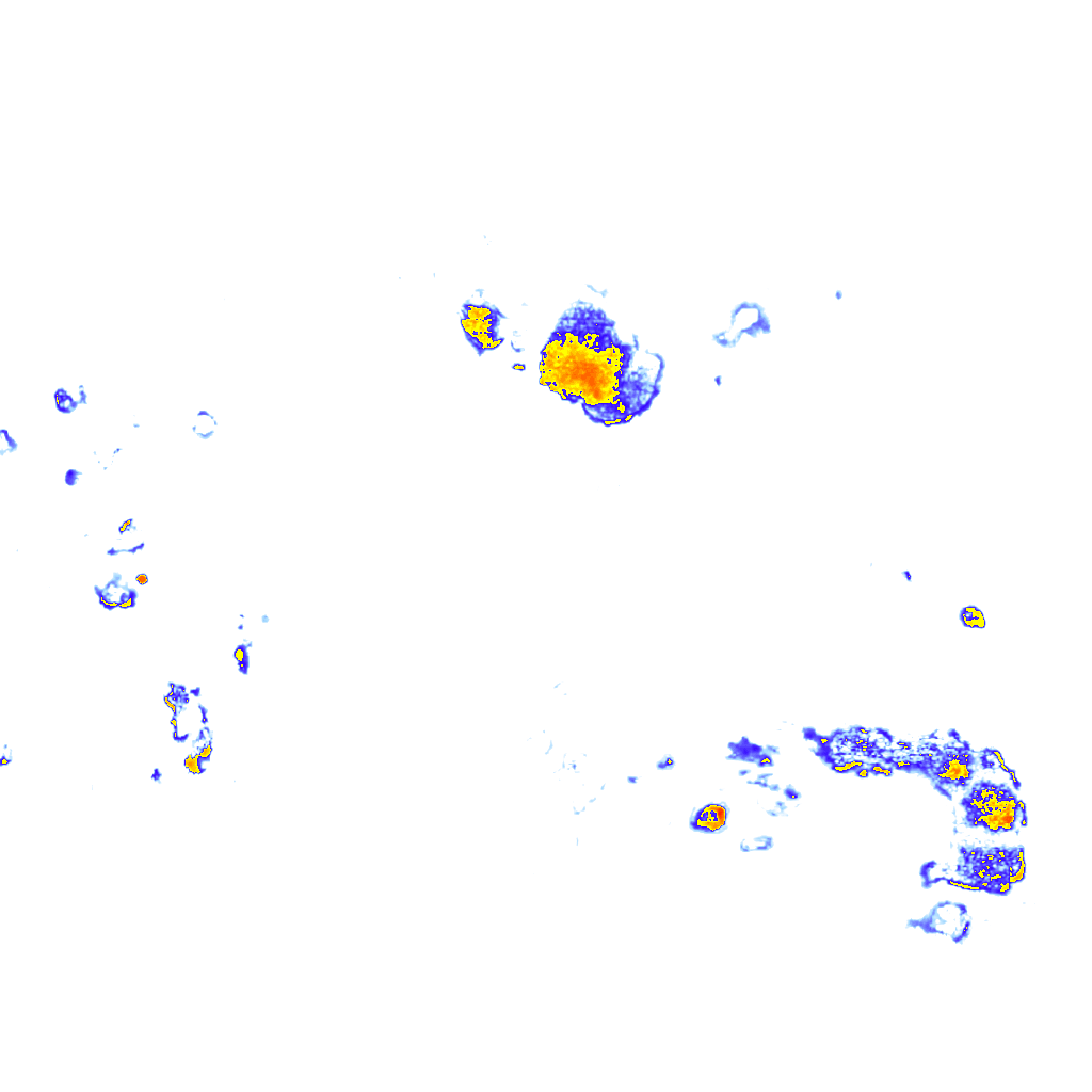 Image Layer