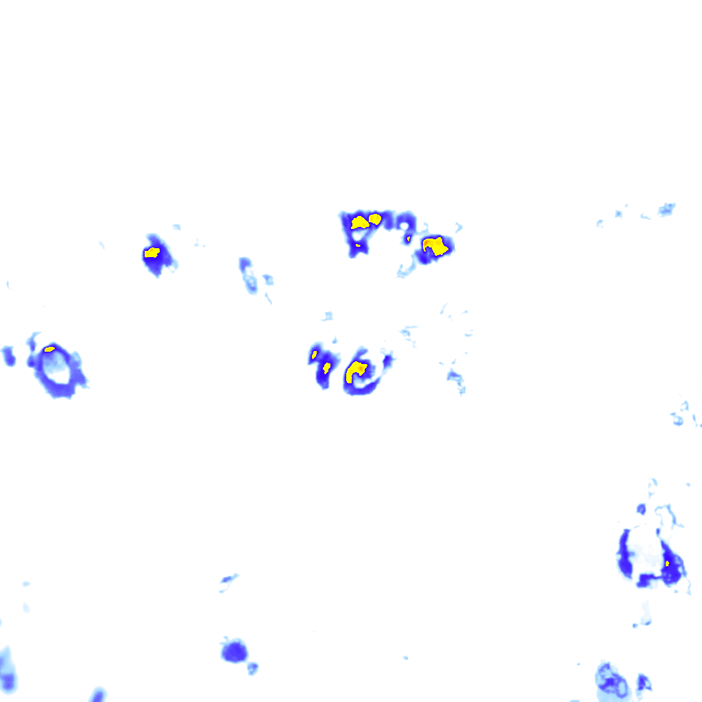 Image Layer