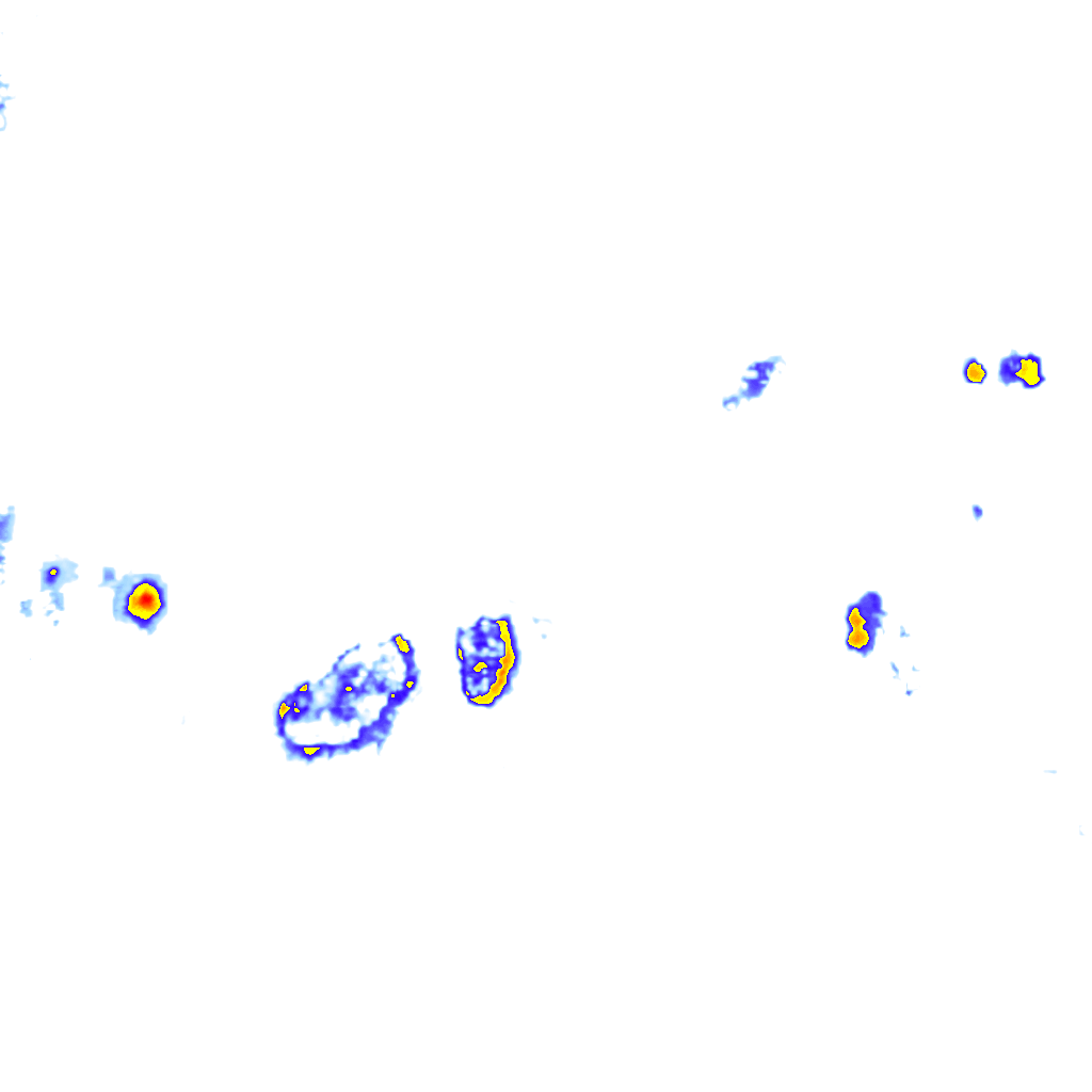Image Layer