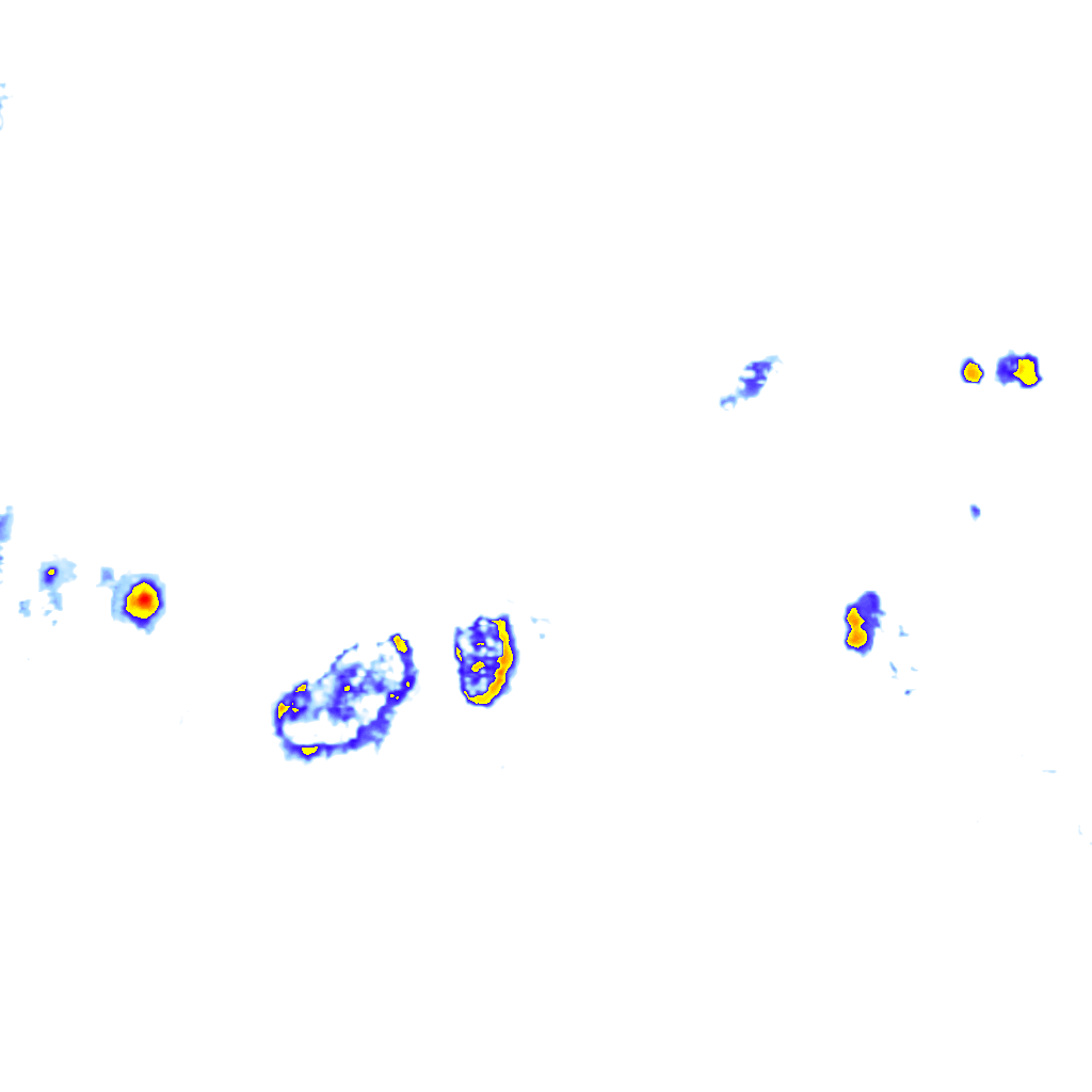 Image Layer