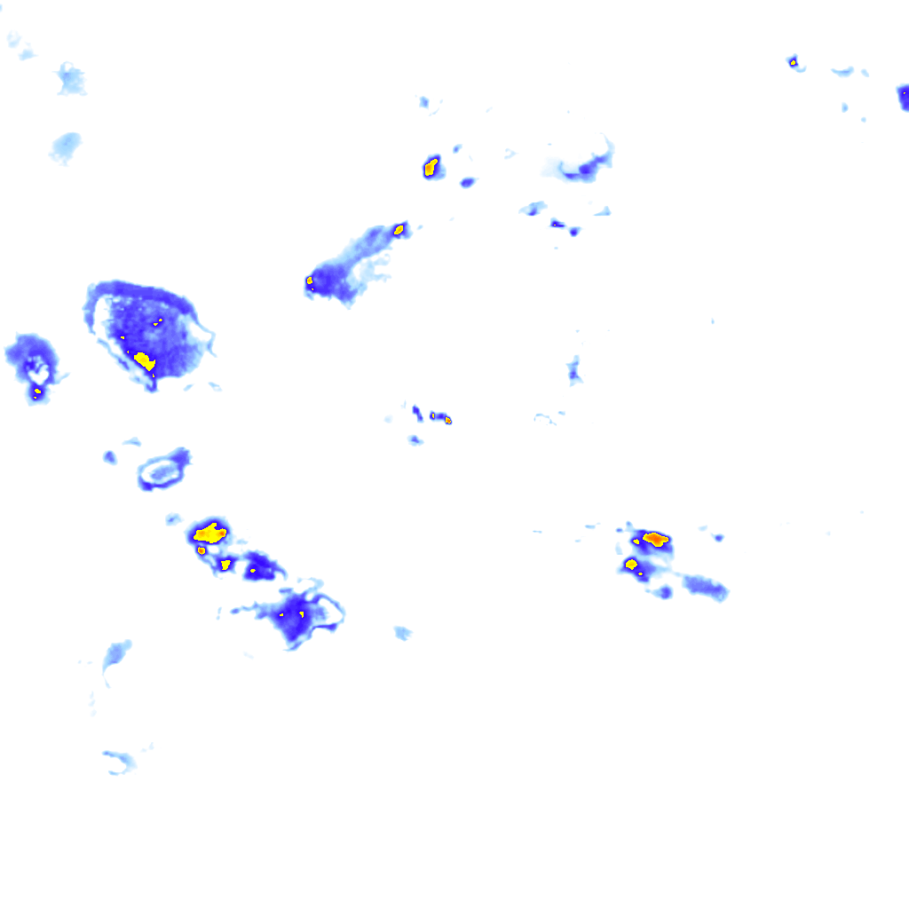 rainLayer