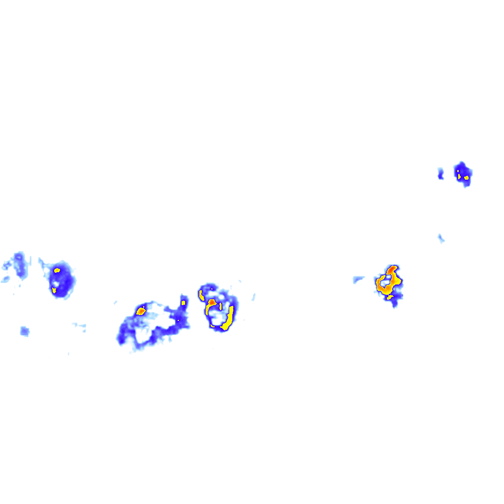 Image Layer