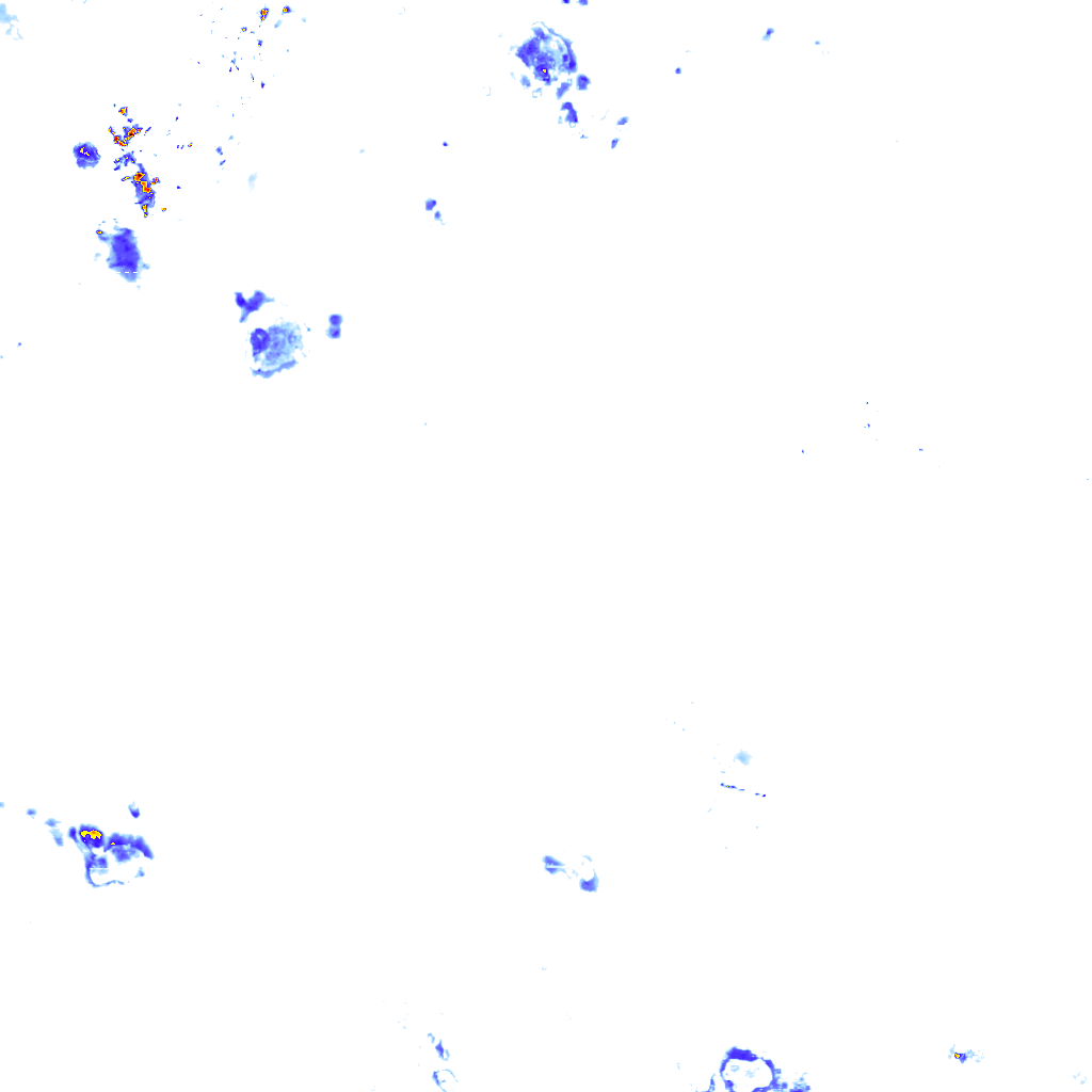 rainLayer