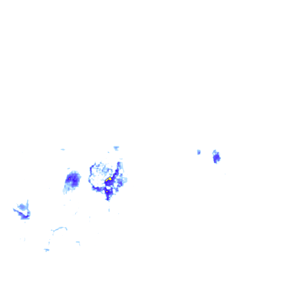 rainLayer