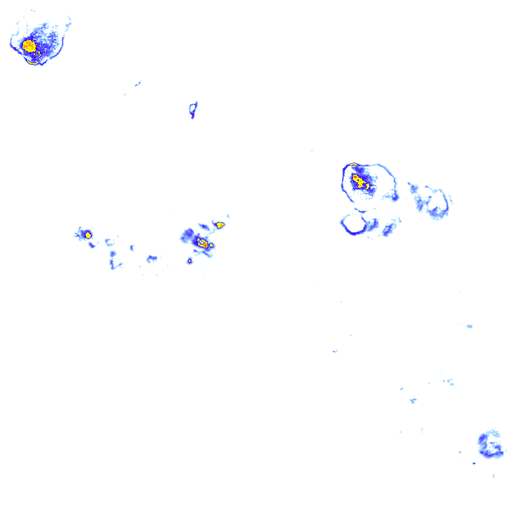 rainLayer