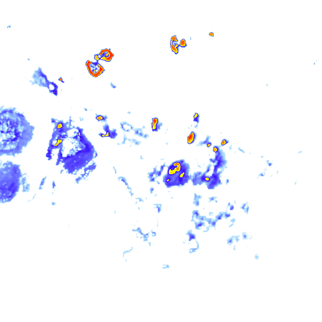 Image Layer