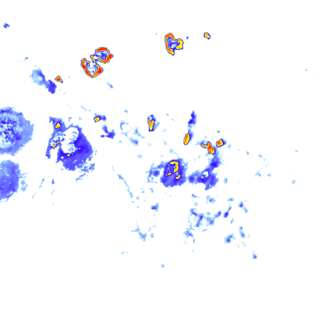 Image Layer
