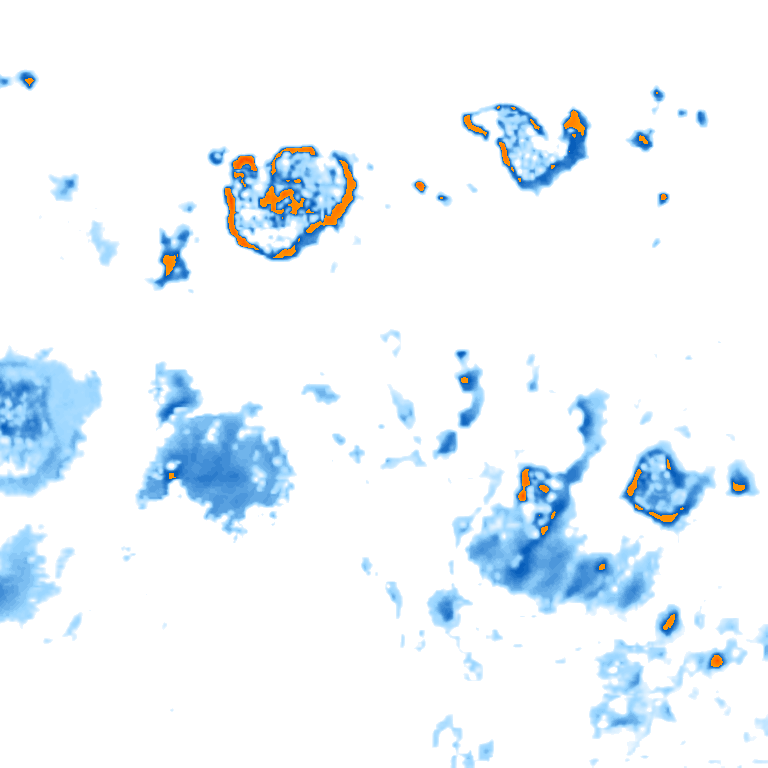 rain layer